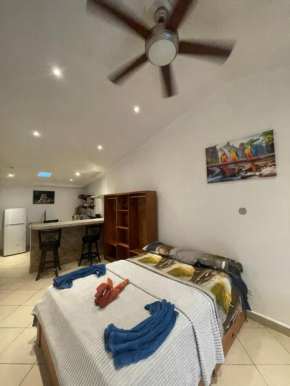 Vista Boquete Apartments
